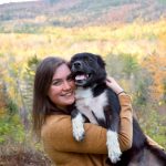 Protecting Your Puppy From Heat Exposure