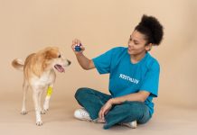 Problems in Adopting Dogs from Working Lines as Pets Definition of Working Line Dogs