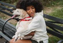 Addison’s Disease in Dog is More Common Than You Think Symptoms of Addison's Disease in Dogs